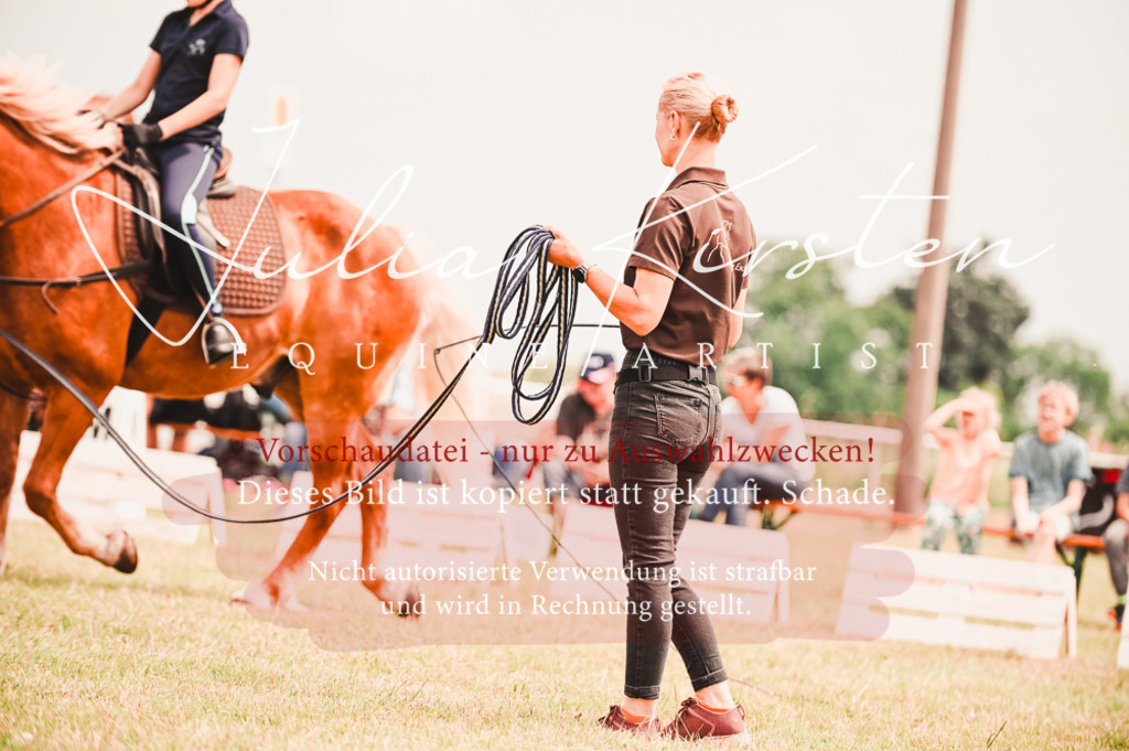 DSC_5669 | Pferde- und Turnierfotografie in Westsachsen. Pferdeportraits, Auftragszeichnungen und intuitive Kunst.
