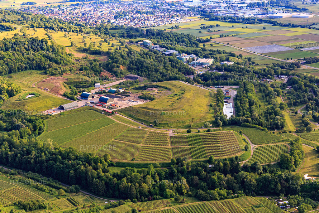 Luftbild: Von Weinbergen umgebenen Deponie des Zweckverband Abfallbehandlung Kahlenberg in Ringsheim im Bundesland Baden-Württemberg in Deutschland. Foto: IMG_147233.jpg vom 29.05.2025 durch Werner Riehm/FLY-FOTO.deZweckverband Abfallbehandlung Kahlenberg