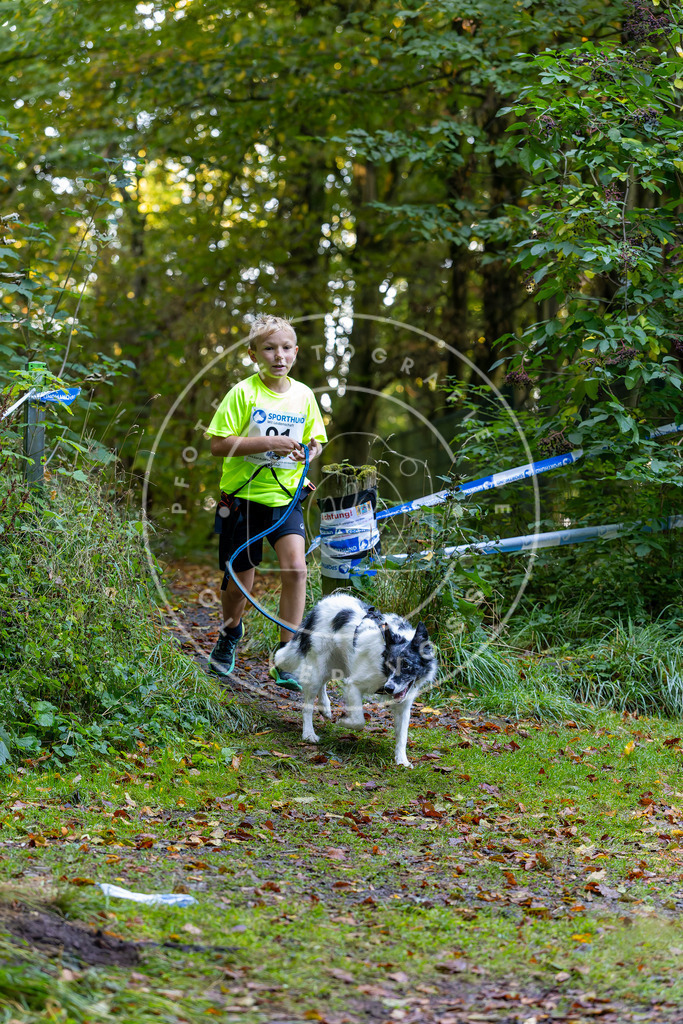 Pfotenfotografie_DV3A7701 | Hundefotografie, Tierfotograf, Pfotenfotografie, Fotoshooting Hund, Hunde Portrait, Hundesport, Hundeportraits, Heideshooting, Hunde, Sportfotograf, Hundefotograf, Turnierhundsport, THS,  - Realisiert mit Pictrs.com