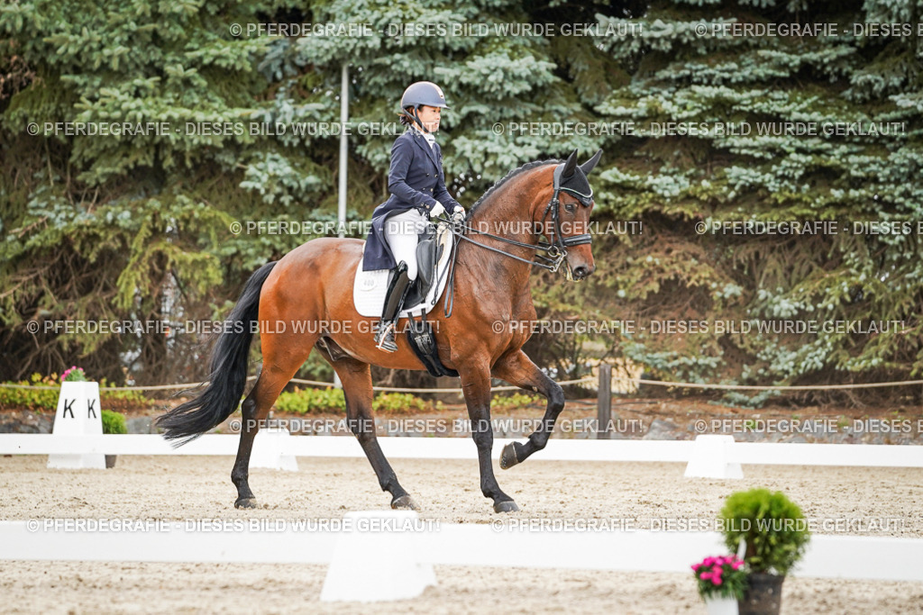 DSC05440 | Pferdegrafie