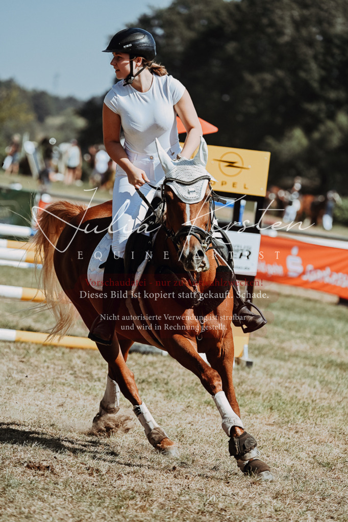 DSC_0021 | Pferde- und Turnierfotografie in Westsachsen. Pferdeportraits, Auftragszeichnungen und intuitive Kunst.