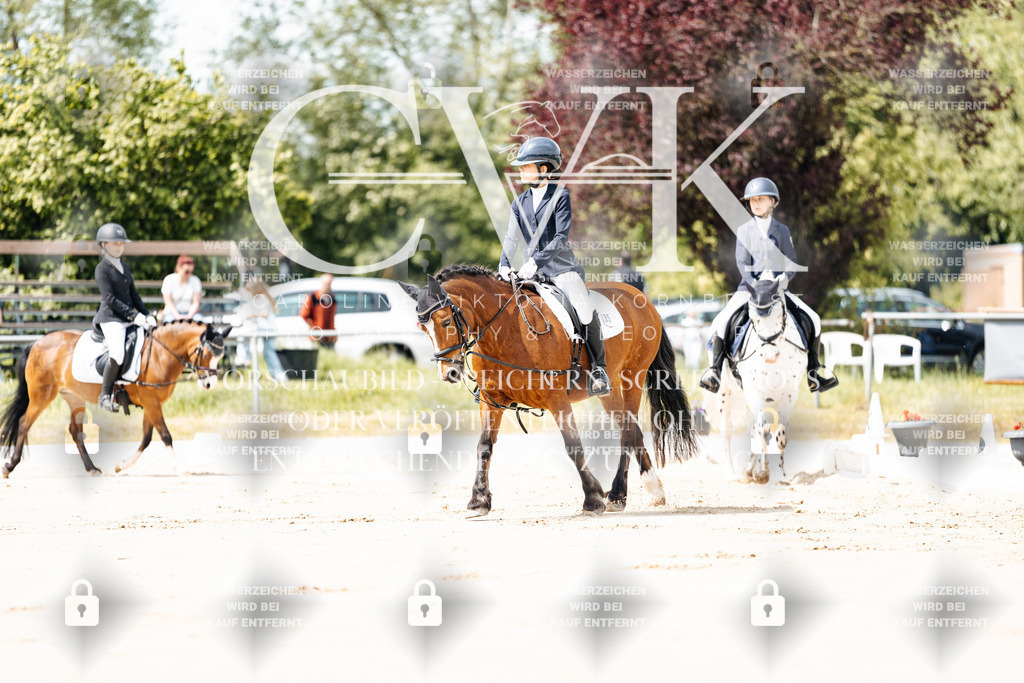 CK901653 | Turnierfotografie Pferdefotografie Trier Rheinland-Pfalz Pferdesport Reitsport Tierfotografie Sportfotografie Pferdevideo Pferdevideografie Equestrianvideography equestrianphotography  - Realisiert mit Pictrs.com