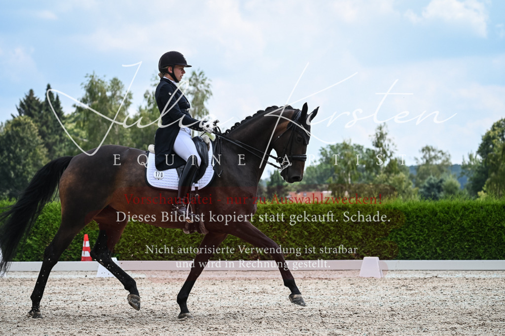 DSC_2564 | Pferde- und Turnierfotografie in Westsachsen. Pferdeportraits, Auftragszeichnungen und intuitive Kunst.