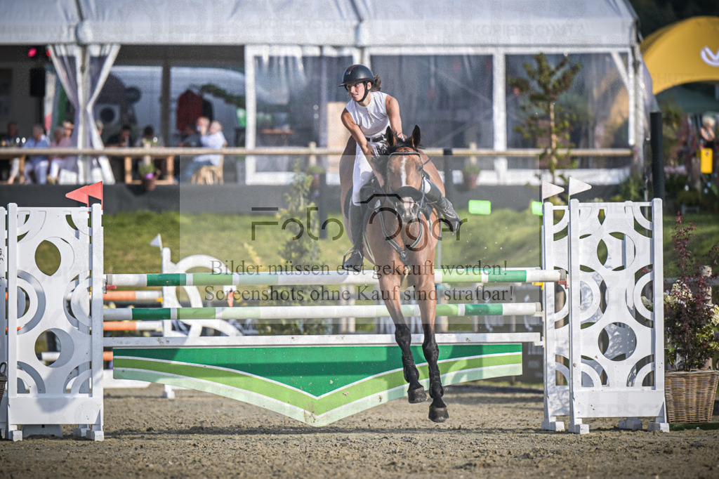DOS_3414 | Entdecke hochwertige Reitturnierfotos von Foto Oger. Professionell, emotional und authentisch – jetzt Lieblingsmomente im Shop bestellen.Deutschlandweite Turnierfotografie. - Realisiert mit Pictrs.com