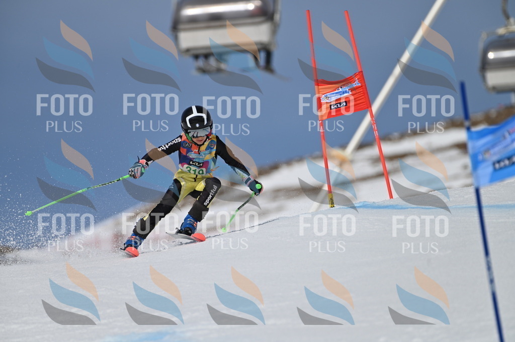 BGV_6305 | holidayphoto