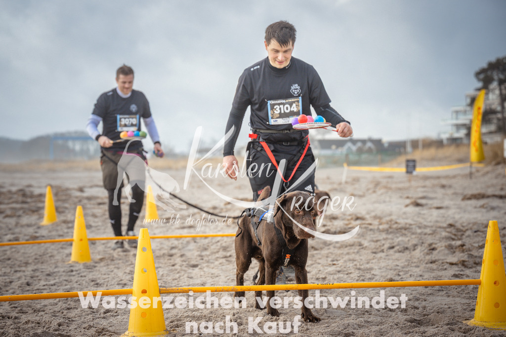 1142_ZZ90208 | kk-dogfotos