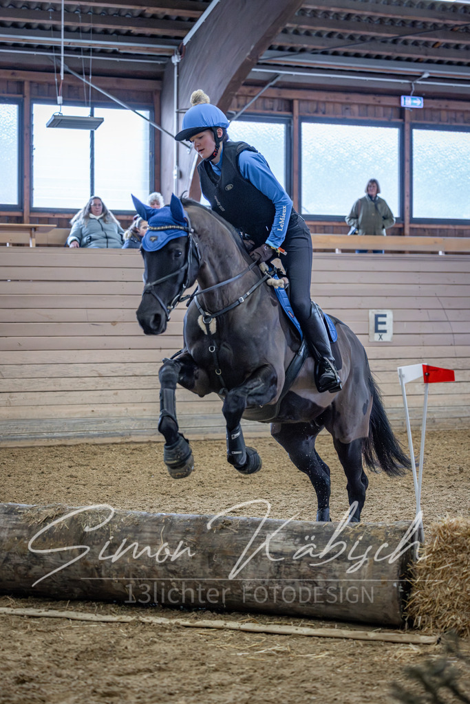 20260221-_3LI8990 | Tierfotografie Pferde, Hunde, Katzen, Haustiere.
Turnierfotografie Reitturniere, Reiten, Springreiten, Dressur in Hanau, dem Main-Kinzig-Kreis und dem Rhein-Main- Gebiet um Frankfurt