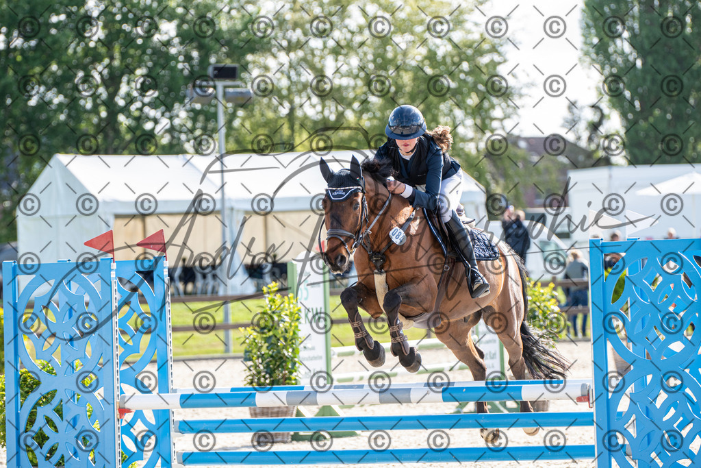 KPT_4473 | andre_photographic