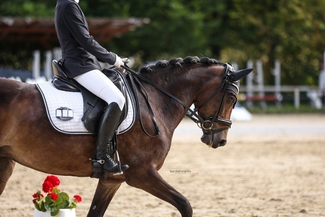 60556C61-B61D-4499-BF58-B567CD238CAC | laurarinckfotografie - Realisiert mit Pictrs.com