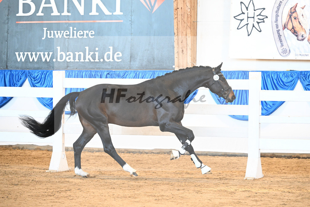 Kat-Nr. 18 Sciano v. Scalatore_HLG Schwaiganger_8260417 | hf-fotografie - Realizzato con Pictrs.com