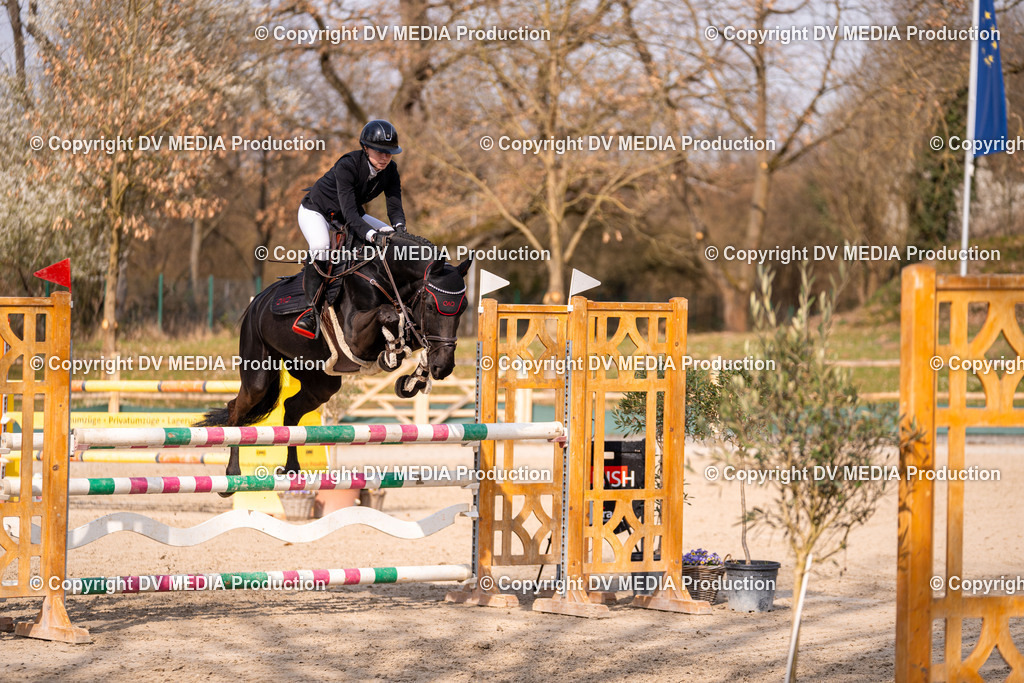 Kranichstein Tag 2-1485 | dv-media-shop - Realisiert mit Pictrs.com