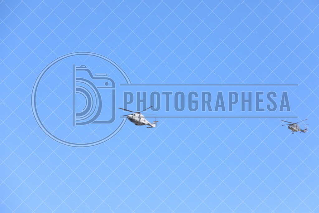 IMG_8840 | photographesa-joergens - Realisiert mit Pictrs.com