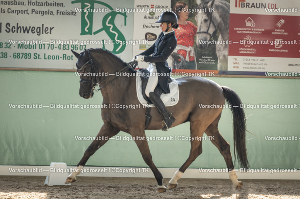 _D5A2173 | Emotionale Pferde- & People-Fotografie rund um Heidelberg, Leimen & Umgebung. Natürliche Fotos von Pferd, Mensch & Familie. Jetzt Termin sichern!