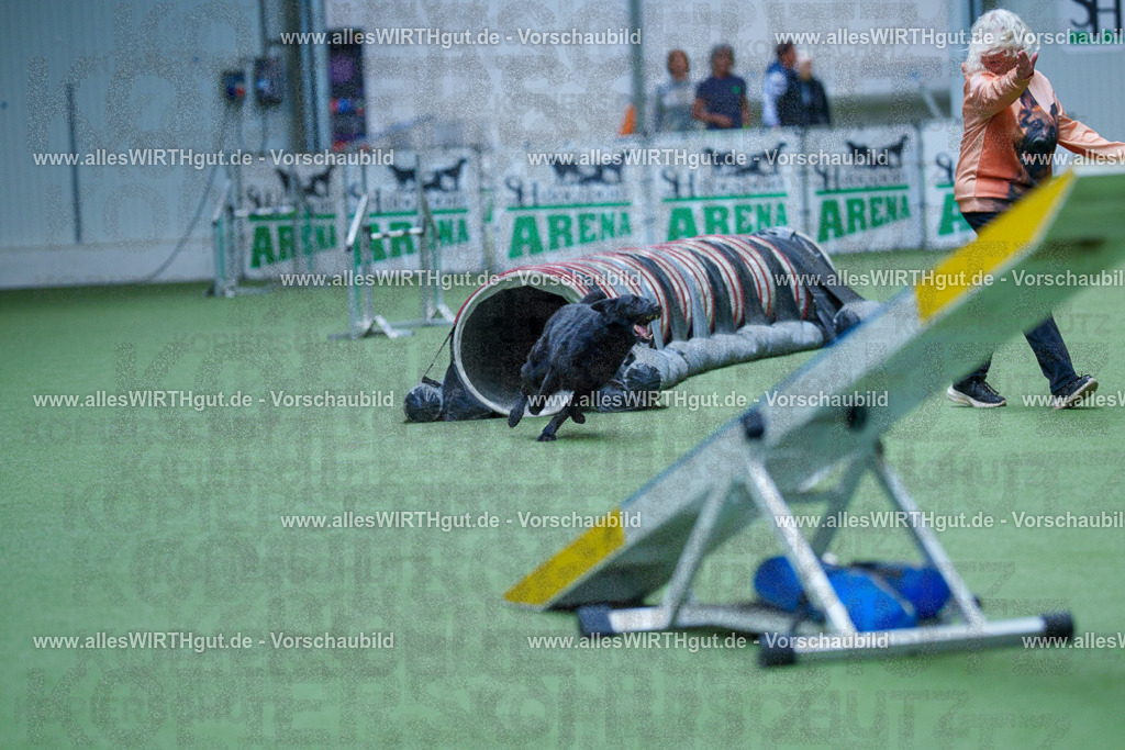 @allesWIRTHgut_Tierfotografie - www.allesWIRTHgut.de - 2604251345-7R503955 | Professionelle Tierfotografie in Mönchengladbach von Daniel Wirth (allesWIRTHgut). Liebevolle & natürliche Bilder von Hunden & Katzen für unvergessliche Erinnerungen.