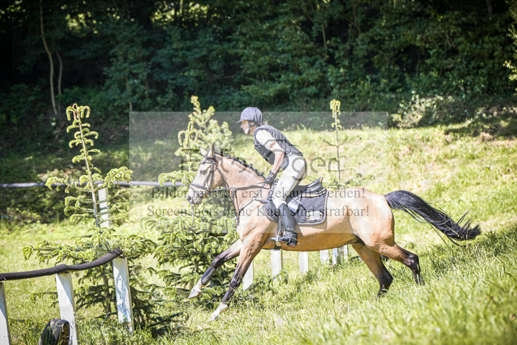 DOS_3798 | Entdecke hochwertige Reitturnierfotos von Foto Oger. Professionell, emotional und authentisch – jetzt Lieblingsmomente im Shop bestellen.Deutschlandweite Turnierfotografie. - Realisiert mit Pictrs.com