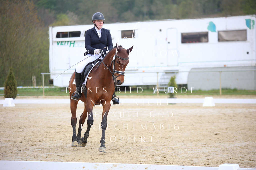 IMGT5316 | pl-fotografie