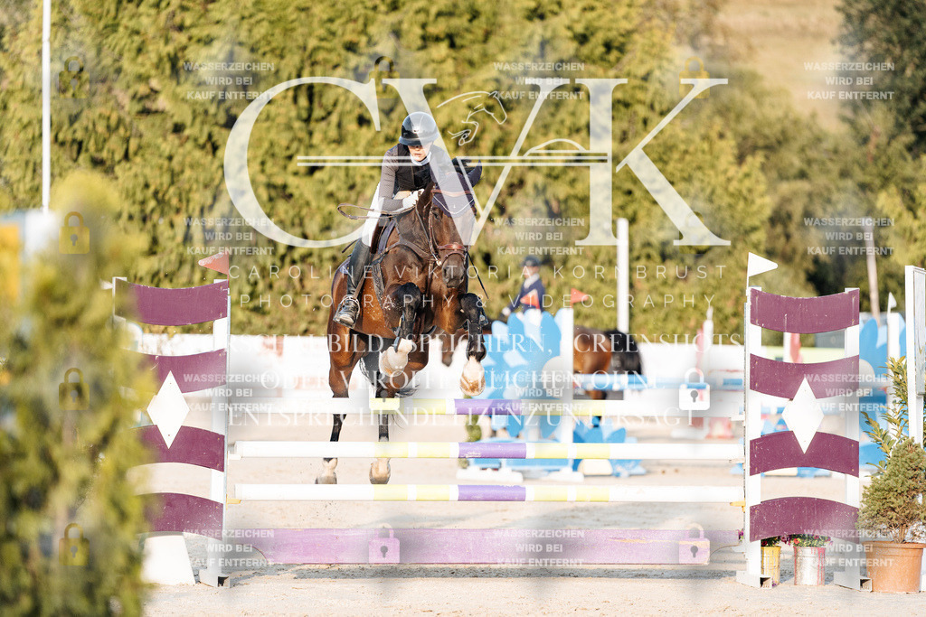 CK900957 | Turnierfotografie Pferdefotografie Trier Rheinland-Pfalz Pferdesport Reitsport Tierfotografie Sportfotografie Pferdevideo Pferdevideografie Equestrianvideography equestrianphotography  - Realisiert mit Pictrs.com