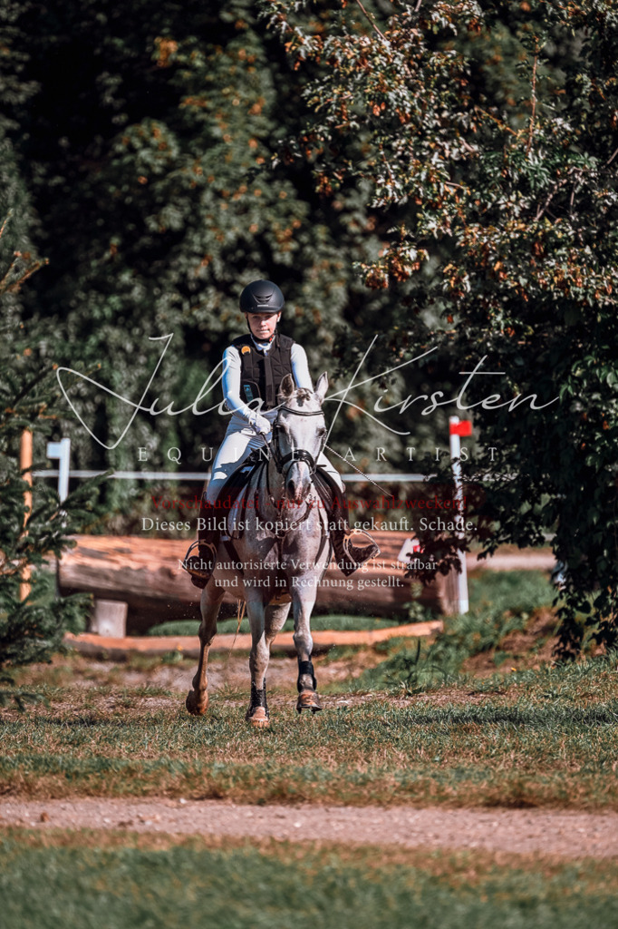 DSC_0656 | Pferde- und Turnierfotografie in Westsachsen. Pferdeportraits, Auftragszeichnungen und intuitive Kunst.