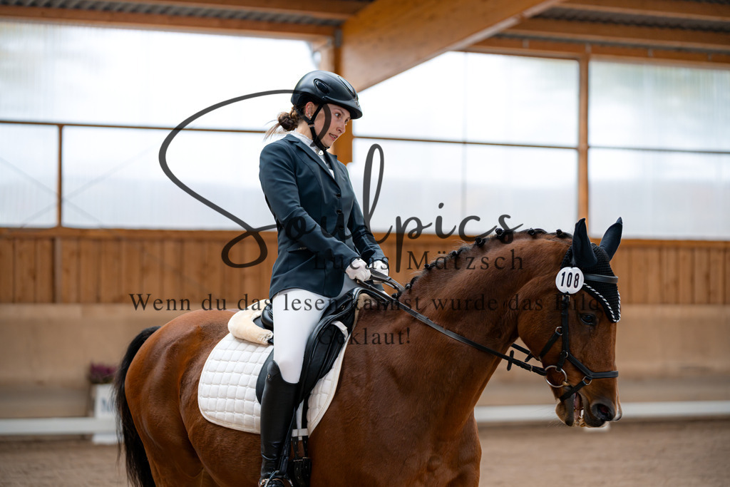 A7V02171 | Pferdefotograf