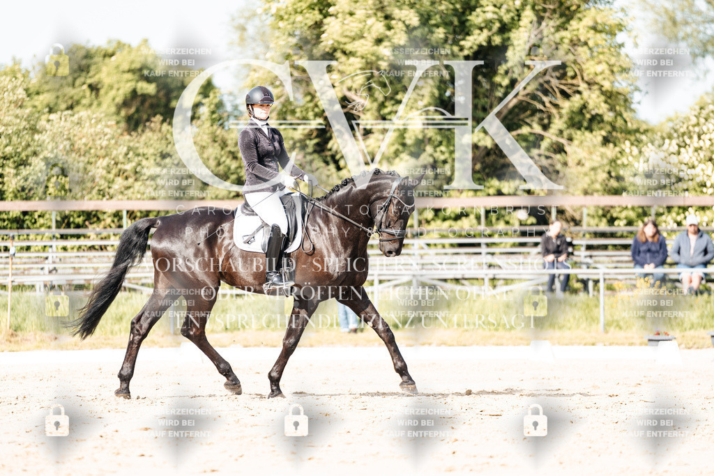 CK900185 | Turnierfotografie Pferdefotografie Trier Rheinland-Pfalz Pferdesport Reitsport Tierfotografie Sportfotografie Pferdevideo Pferdevideografie Equestrianvideography equestrianphotography  - Realisiert mit Pictrs.com