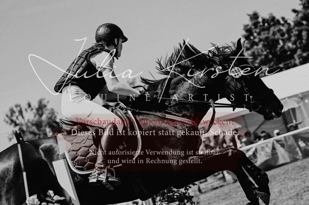 DSC_0713 | Pferde- und Turnierfotografie in Westsachsen. Pferdeportraits, Auftragszeichnungen und intuitive Kunst.