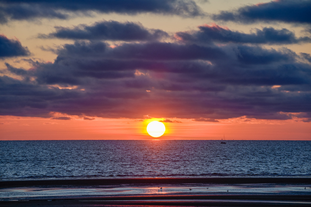 Sonnenuntergang über Nordsee | An der Nordseeküste vor St. Peter-Ording geht die Sonne hinter einer dunklen Wolkenformation unter. Im Vordergrund staksen derweil ein paar Vögel bei Ebbe durch das Watt. — Auflösung des Originals: 8256 x 5504 px. - Realisiert mit Pictrs.com