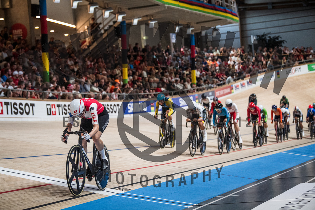 DKP-6146 | Drew Kaplan Photography