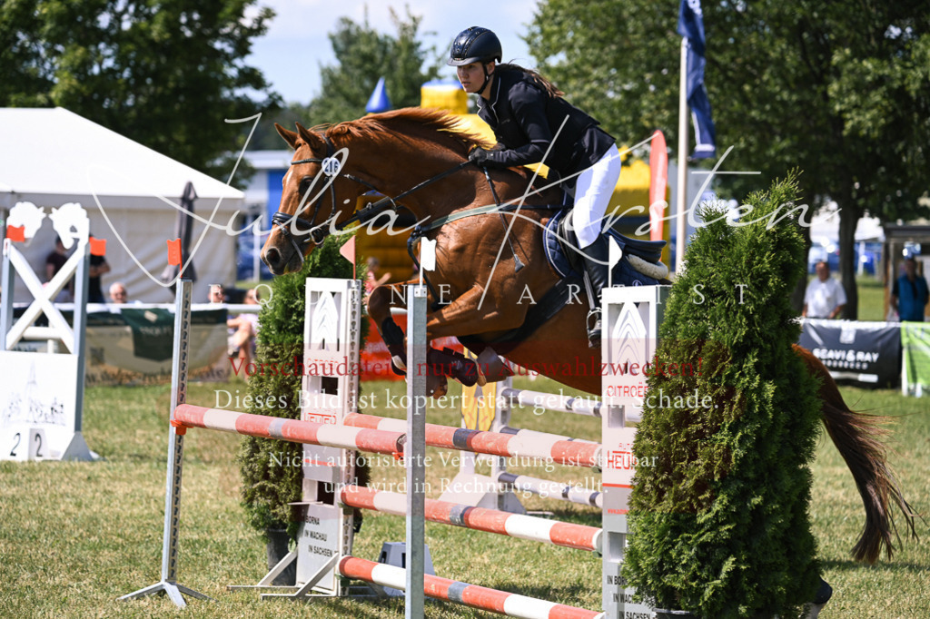 DSC_0361 | Pferde- und Turnierfotografie in Westsachsen. Pferdeportraits, Auftragszeichnungen und intuitive Kunst.