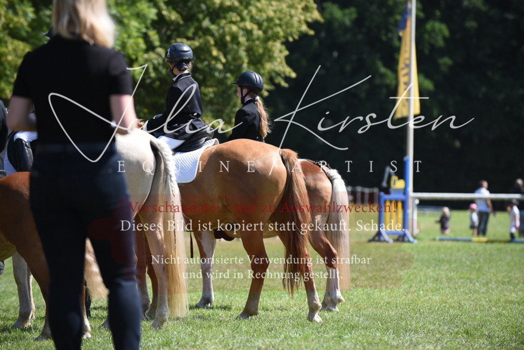 DSC_9738 | Pferde- und Turnierfotografie in Westsachsen. Pferdeportraits, Auftragszeichnungen und intuitive Kunst.