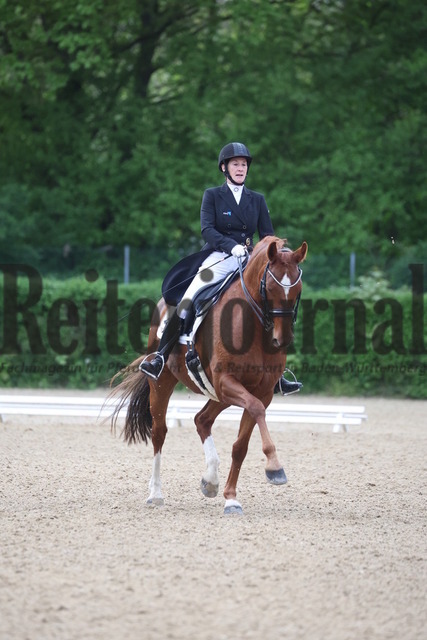 Böblingen_2023_Prfg_Nr.01_Dressur_Kl.S_Kür_Christine Eberbach_Donna de Luxe E (10) | Alle Fotos der Reiterjournal Fotografin Doris Matthaes im Reiterjournal Online-Fotoshop. - Realisiert mit Pictrs.com