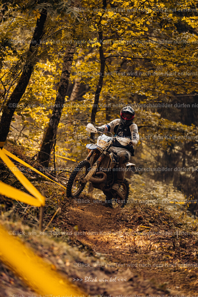 E68A3917 | blick_win_kel