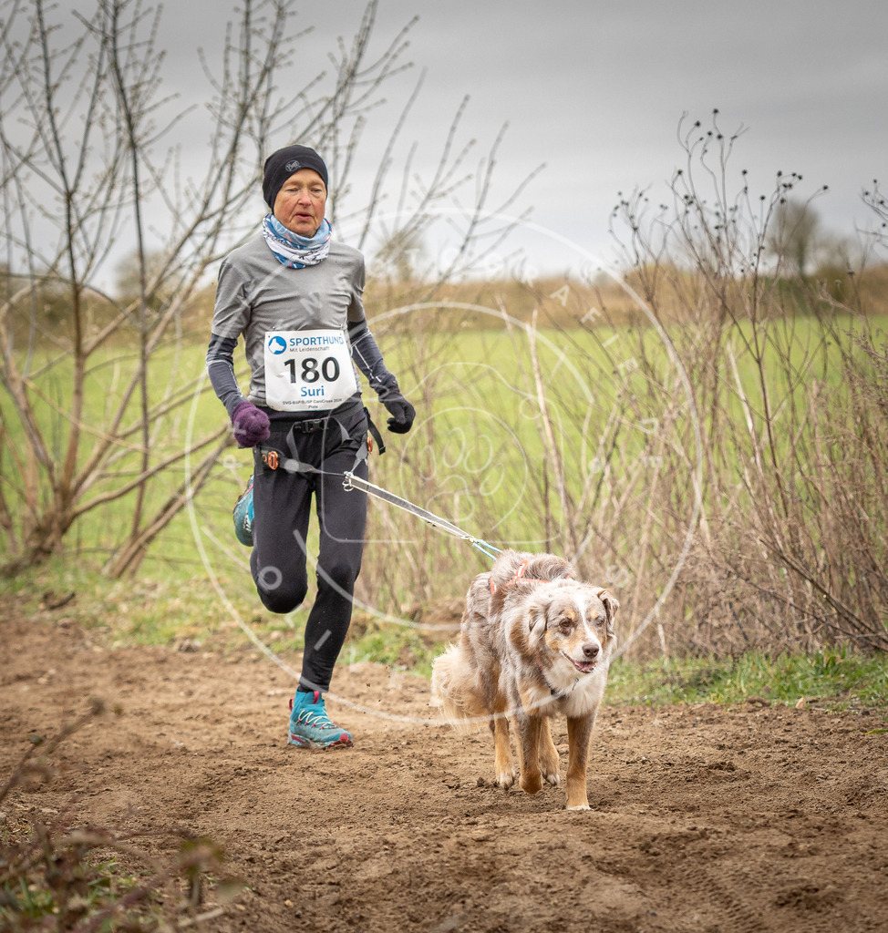 DV3A2095 | Hundefotografie, Tierfotograf, Pfotenfotografie, Fotoshooting Hund, Hunde Portrait, Hundesport, Hundeportraits, Heideshooting, Hunde, Sportfotograf, Hundefotograf, Turnierhundsport, THS,  - Realisiert mit Pictrs.com