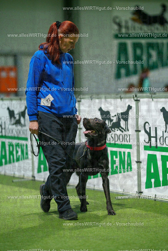 7R508406 | Professionelle Tierfotografie in Mönchengladbach von Daniel Wirth (allesWIRTHgut). Liebevolle & natürliche Bilder von Hunden & Katzen für unvergessliche Erinnerungen.