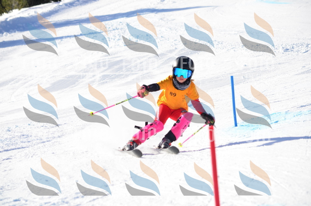 C6060 | holidayphoto