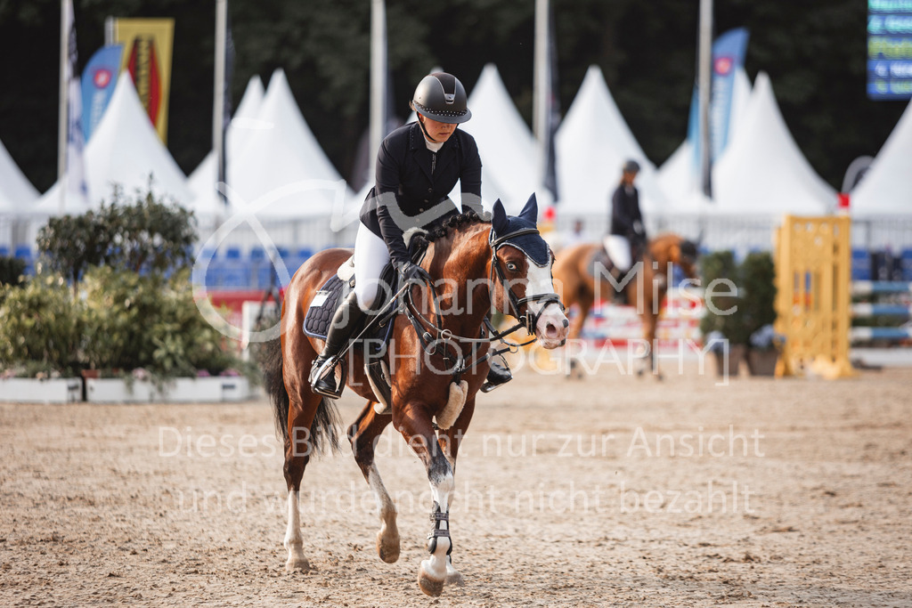 240906_BuCha_PonyA-5j-137 | Deine schönsten Turniermomente als professionelle Fotos! Entdecke hochwertige Pferdesport-Fotografie im Online-Shop. Jetzt Fotos finden & bestellen!