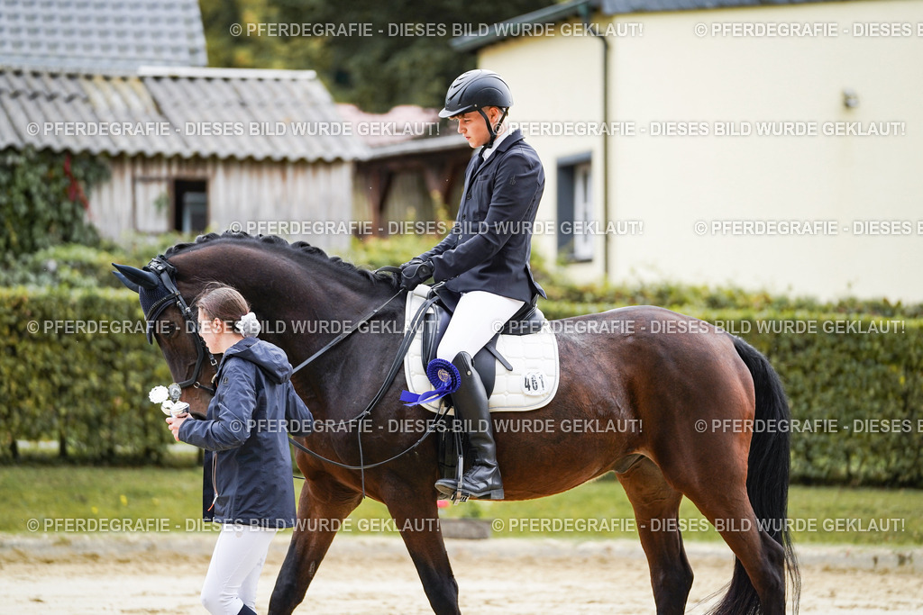 DSC05055 | Pferdegrafie