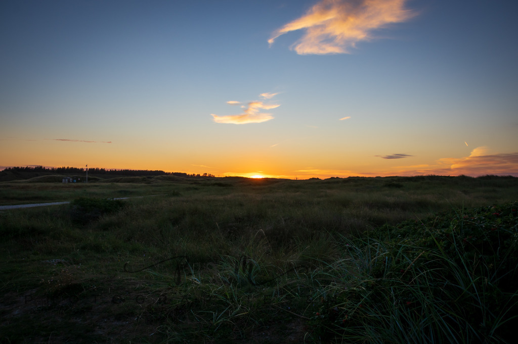 _Sommer2022-0965 | Photographies and more - Realisiert mit Pictrs.com