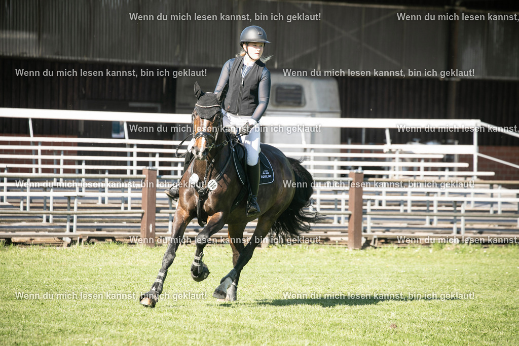 598A6337 | photographylinaismer - Realisiert mit Pictrs.com