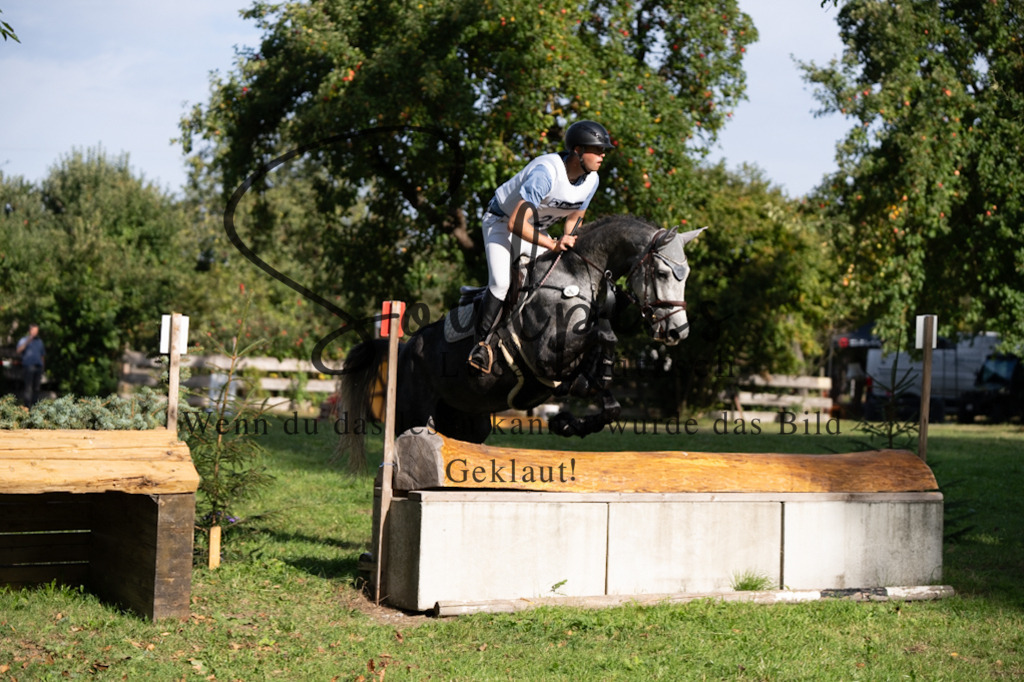 A7V03257 | Pferdefotograf