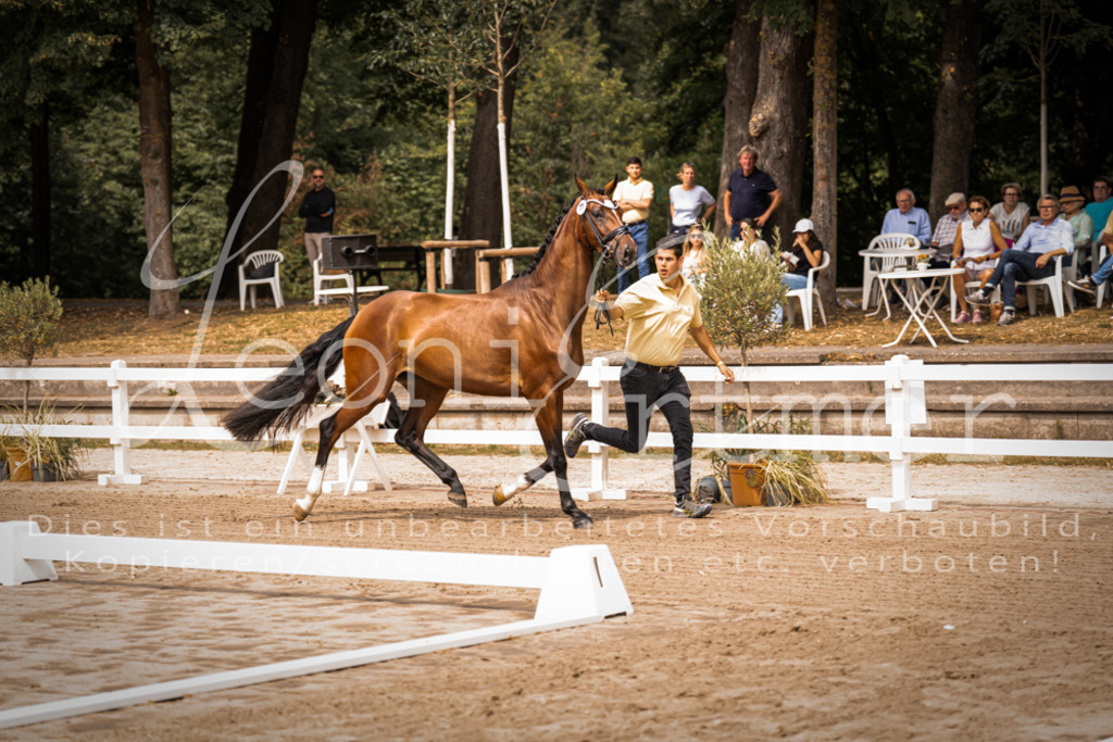 4.Fr00002 | Leoni Ertmer Photography - Realisiert mit Pictrs.com