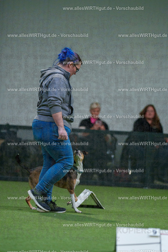 7R503832 | Professionelle Tierfotografie in Mönchengladbach von Daniel Wirth (allesWIRTHgut). Liebevolle & natürliche Bilder von Hunden & Katzen für unvergessliche Erinnerungen.