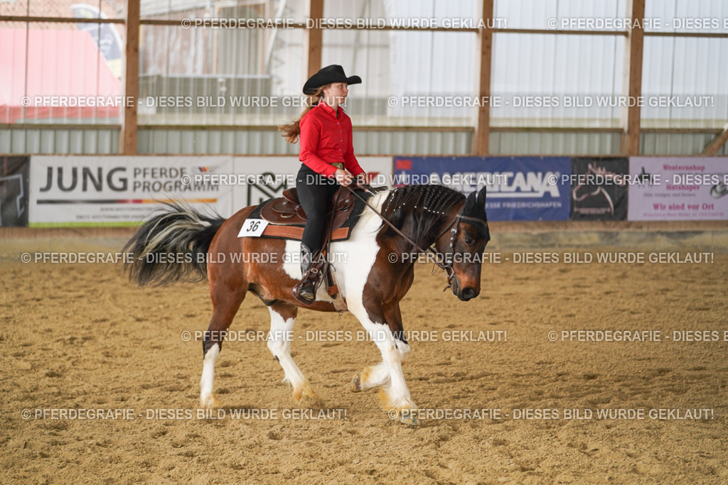 DSC04220 | Pferdegrafie