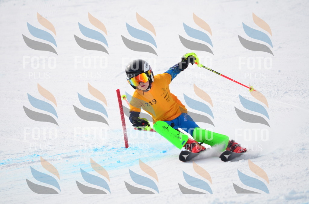 C8229 | holidayphoto