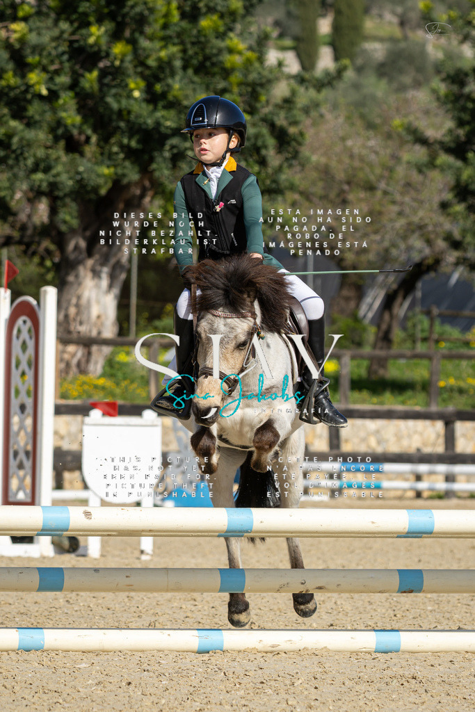 IMG_5946 | s-jay-photography - Realisiert mit Pictrs.com