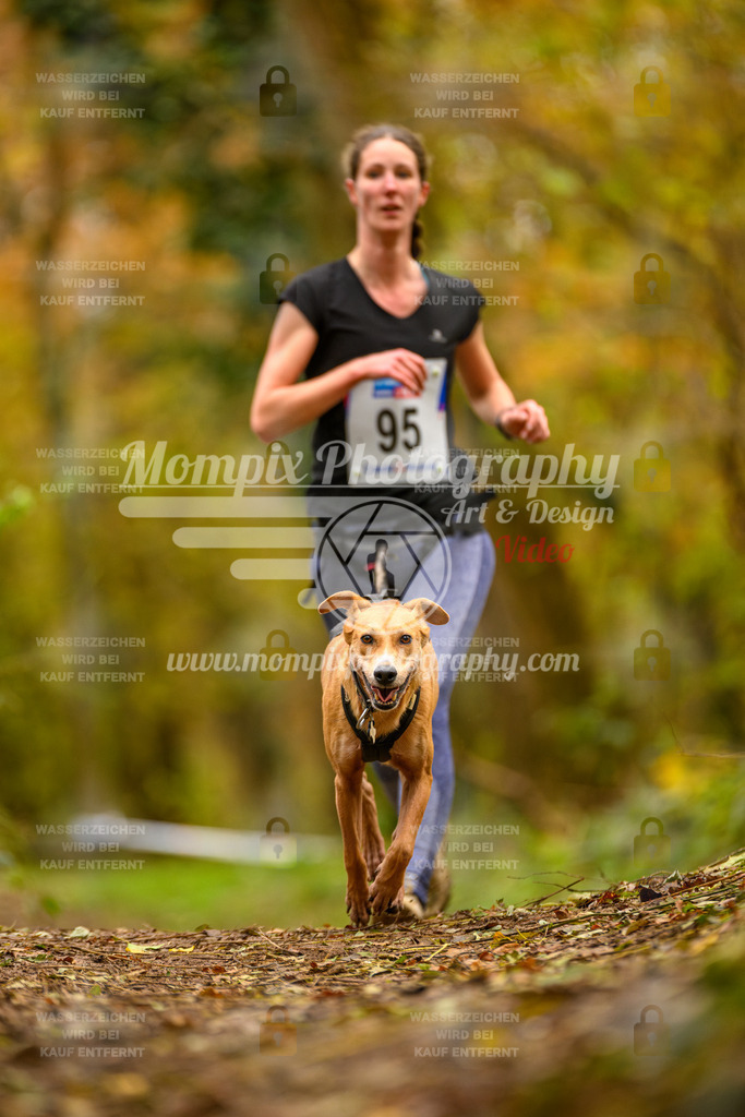 MompixPhotography_Bischwiller24_SA_Canicross-147 | PayLife