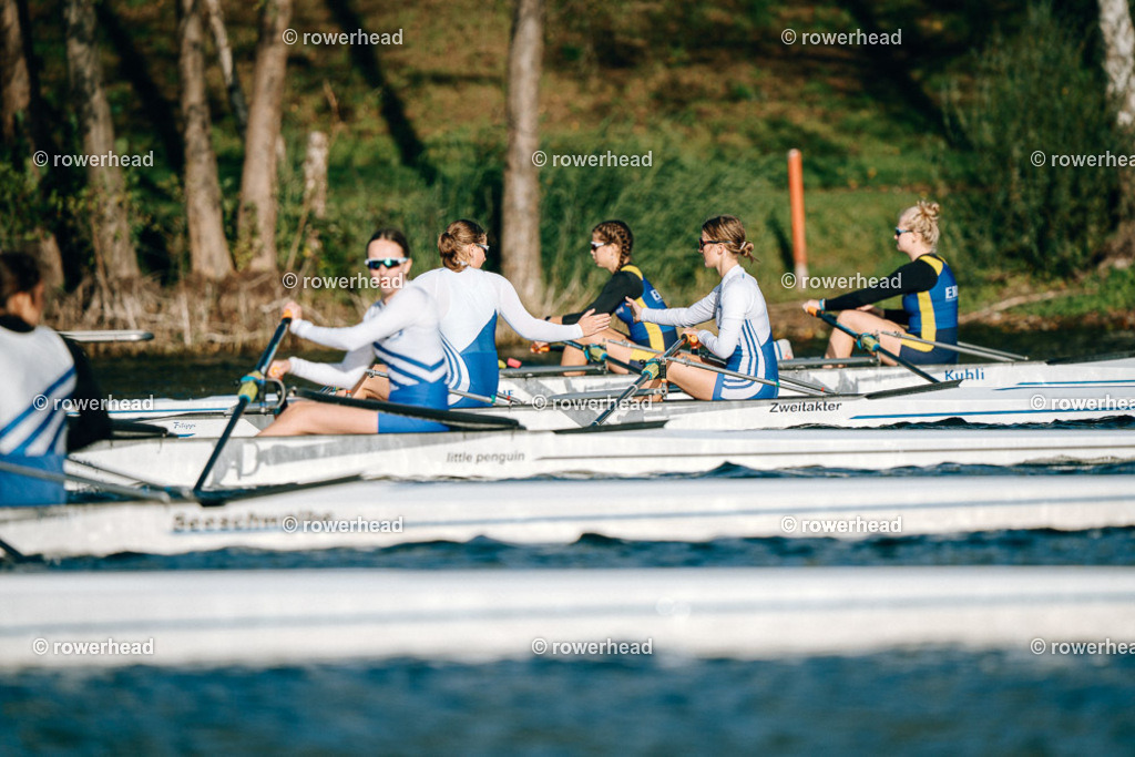 20251004_rowerhead_R014_S0375_DSC04701 | rowerhead - Realisiert mit Pictrs.com