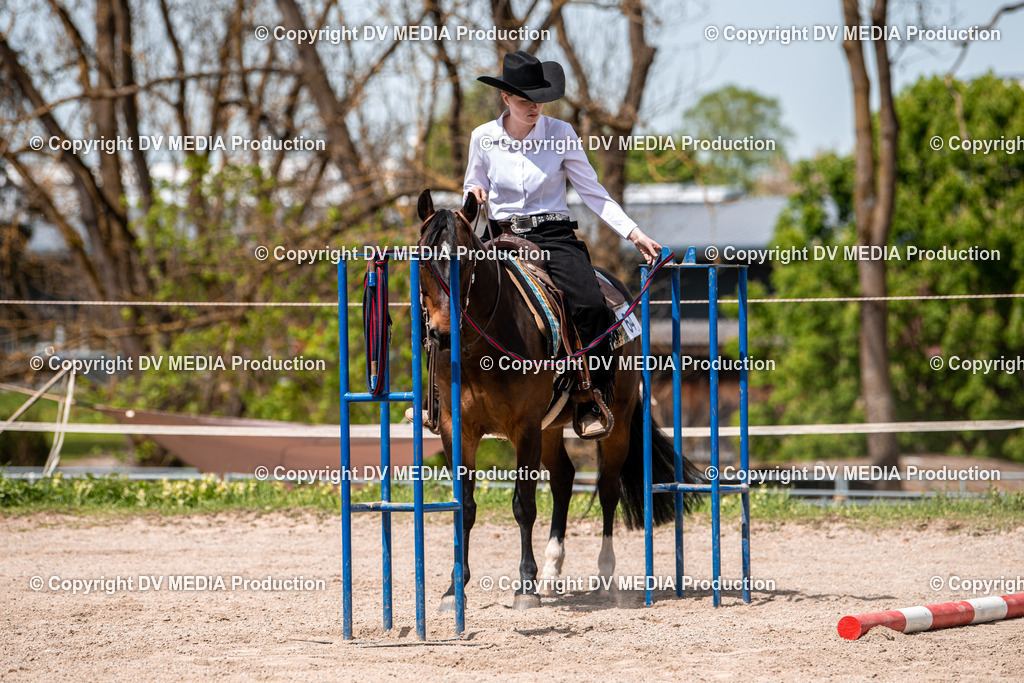 Balingen Tag 4-608 | dv-media-shop - Realisiert mit Pictrs.com