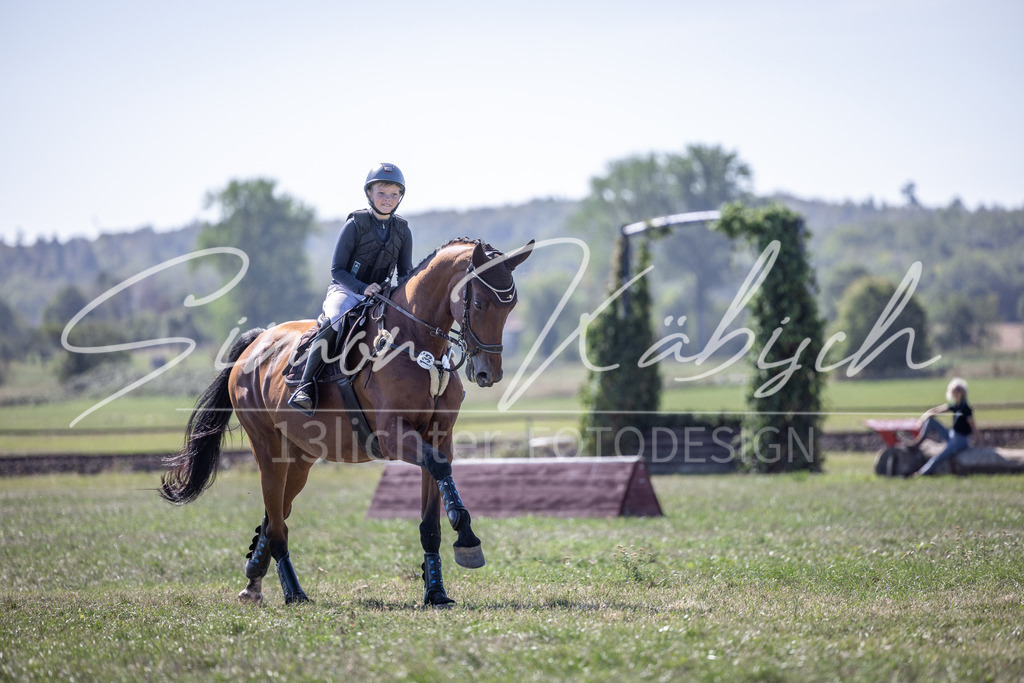 20260906-_3LI2846 | Tierfotografie Pferde, Hunde, Katzen, Haustiere.
Turnierfotografie Reitturniere, Reiten, Springreiten, Dressur in Hanau, dem Main-Kinzig-Kreis und dem Rhein-Main- Gebiet um Frankfurt