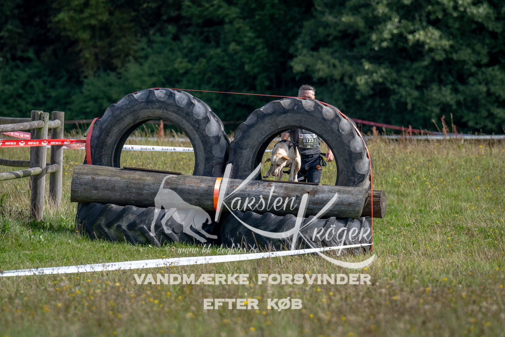 1125_ZZ92205 | kk-dogfotos
