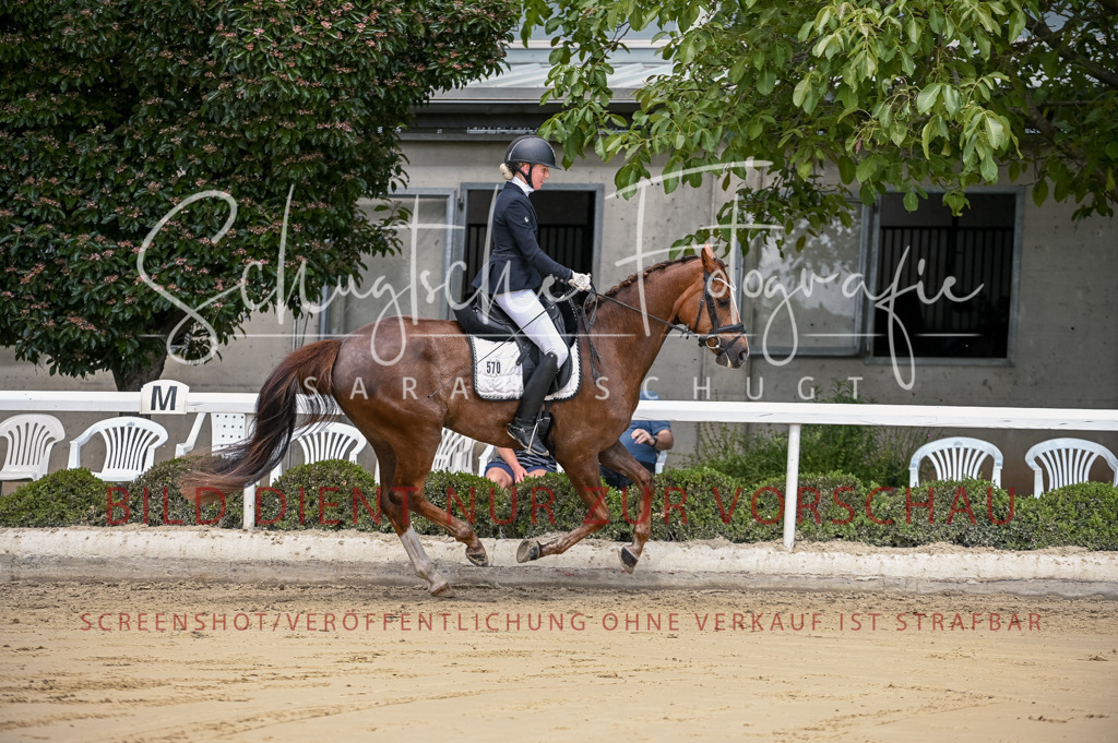 Schugtsche-Aluta25-48.Reitpferfdeprf.-103 | Schugtsche Fotografie - Realisiert mit Pictrs.com